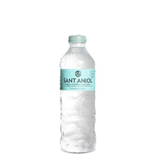 Sant Aniol Nutural Water(500ml)